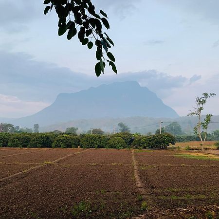 Krathom Doi Luang Hotell Chiang Dao Exteriör bild