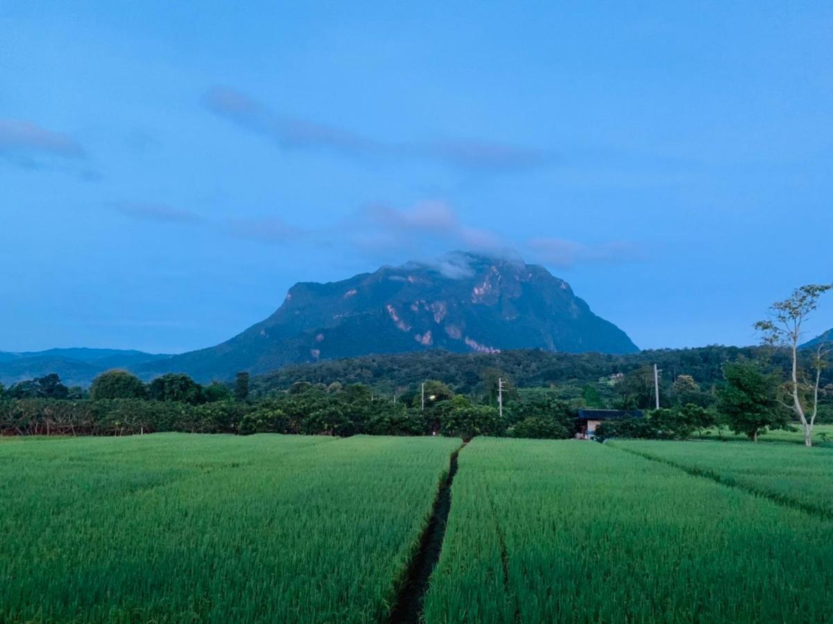 Krathom Doi Luang Hotell Chiang Dao Exteriör bild