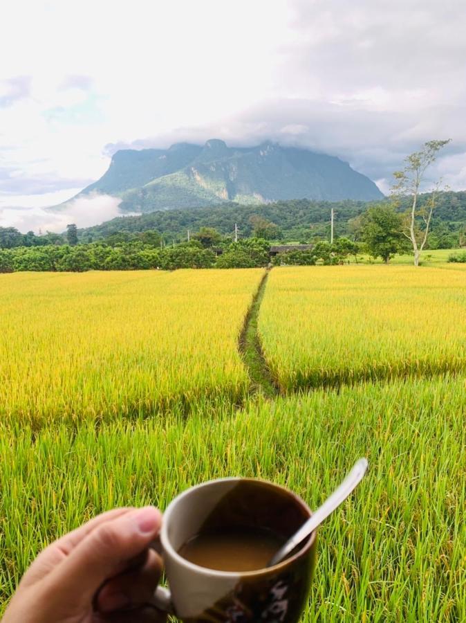 Krathom Doi Luang Hotell Chiang Dao Exteriör bild