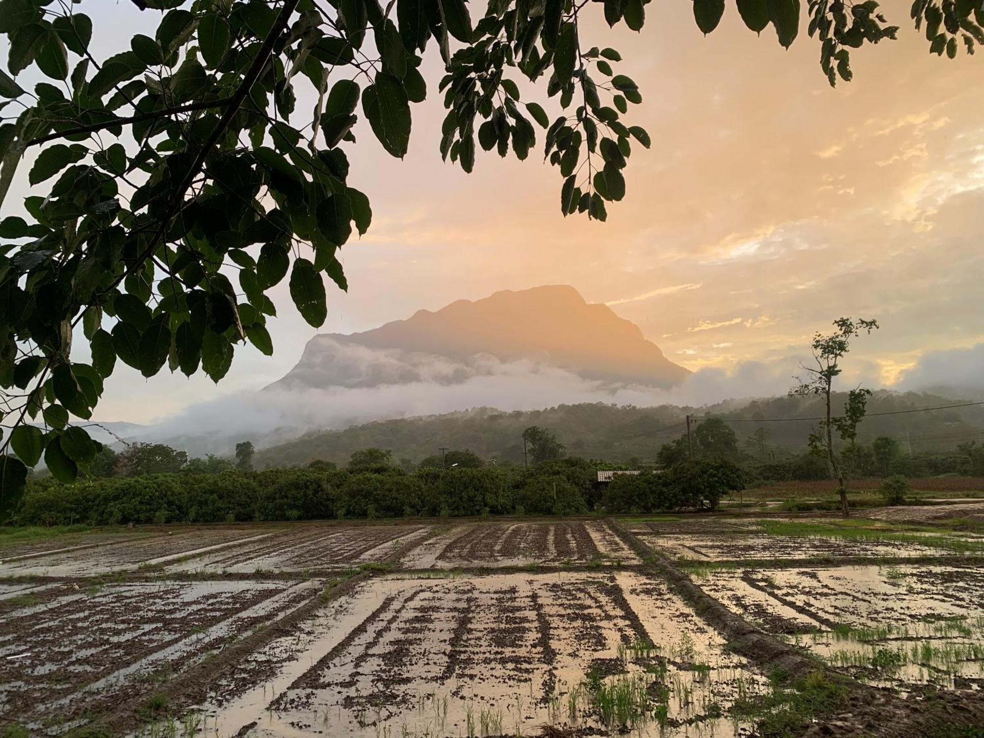 Krathom Doi Luang Hotell Chiang Dao Exteriör bild